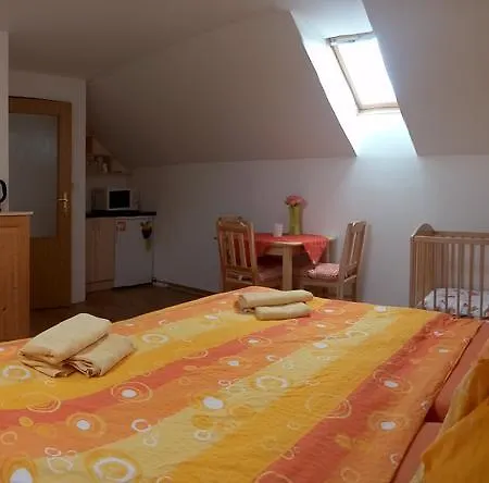 Apartman Tom 公寓 弗林布尔克